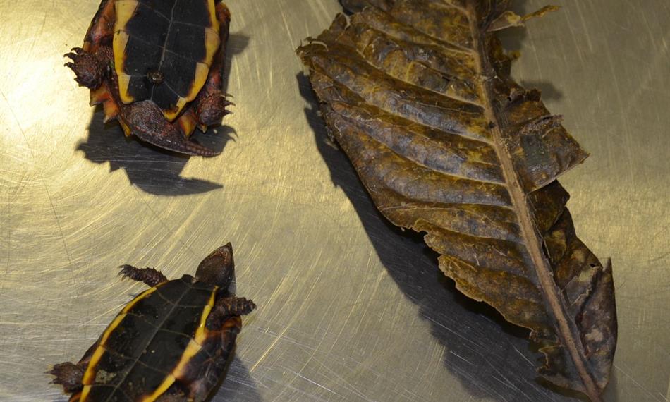 2014-6-10-1251foto 5.jpg